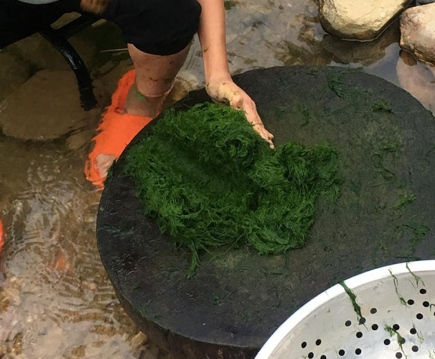 Đặc sản trời cho mọc trên đá ở Tây Bắc, muốn ăn phải mang chày ra giã - 2