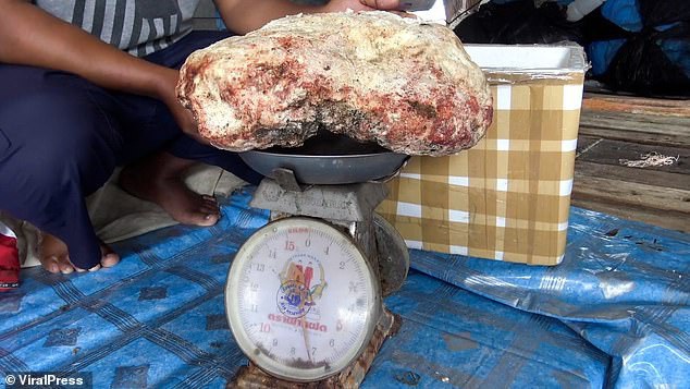 Vô tình nhặt được hòn đá lạ, nặng 7 kg, ngư dân trẻ vớ bẫm được cả kho báu tiền tỷ - 3