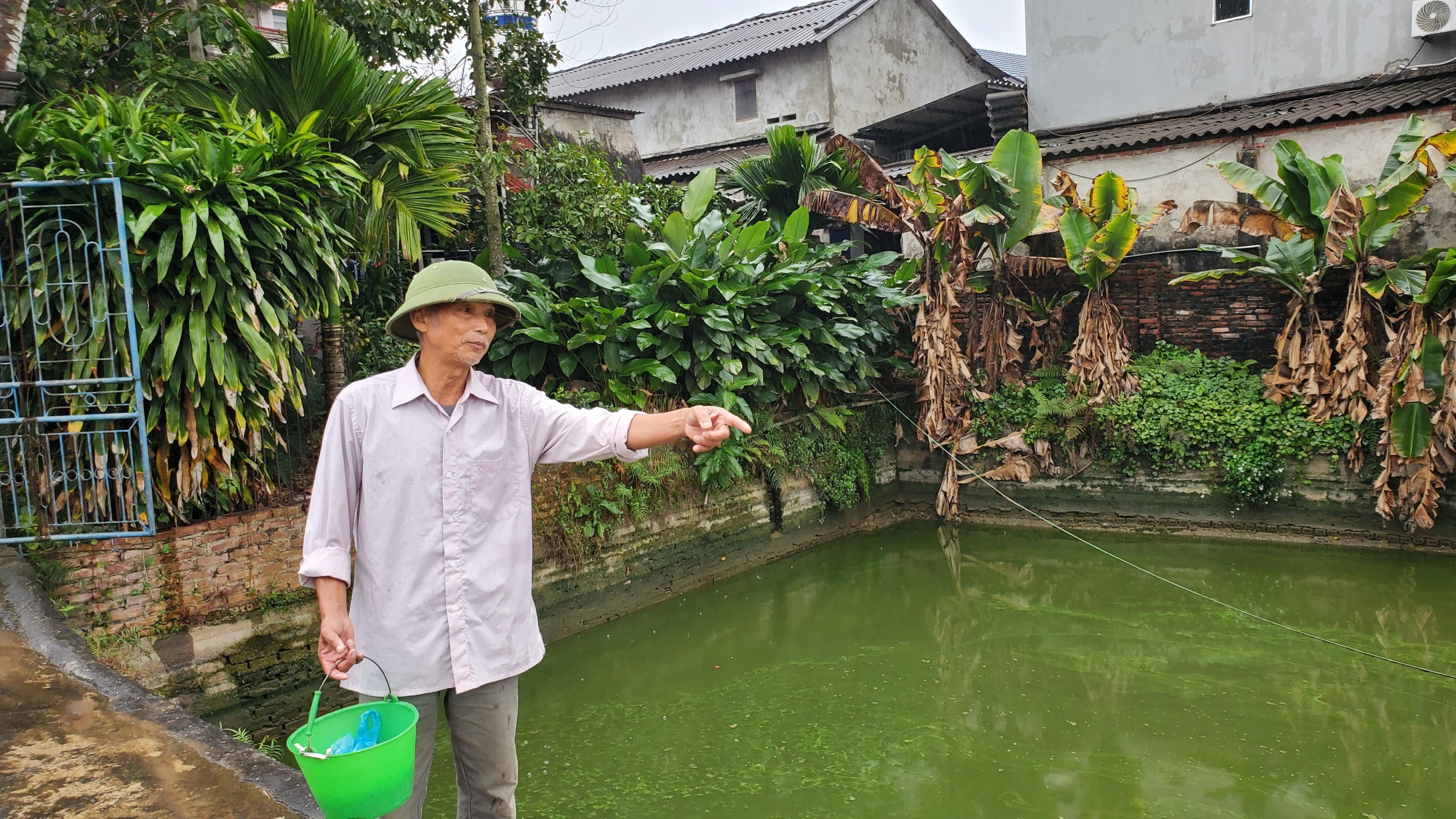 Tết ông Công, ông Táo: Người nuôi cá chép nhận đặt cọc hàng trăm triệu đồng - 8