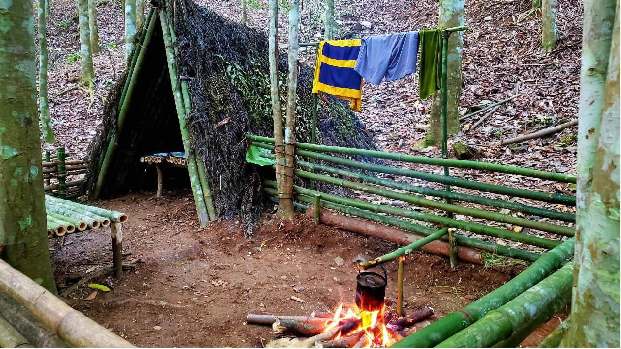 Chàng trai bỏ phố lên rừng: Nướng cá trên đá, luộc trứng trong ống nứa - 1