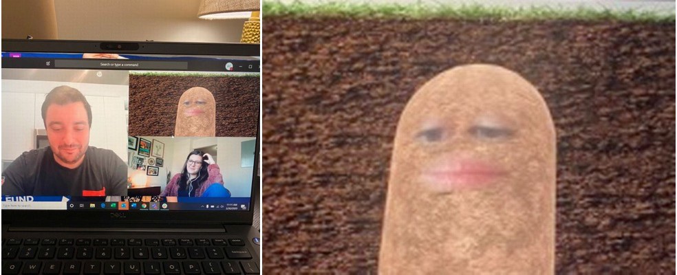 Những sự cố hy hữu cười ra nước mắt khi họp trực tuyến - 1