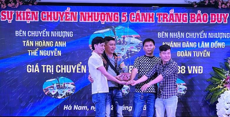 Xôn xao thông tin lan Bảo Duy 5 cánh trắng được bán với giá gần 19 tỷ đồng - 2