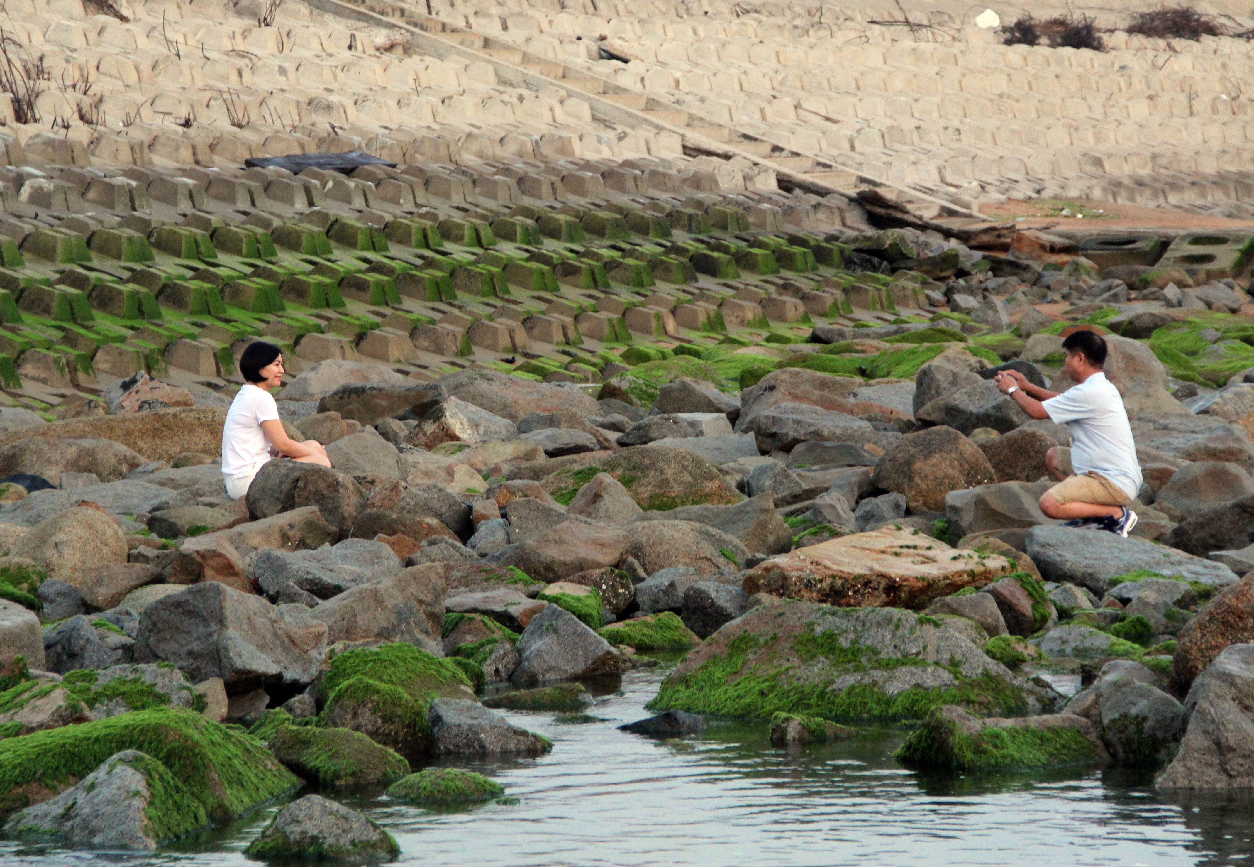 Du khách đổ xô check-in bãi đá rêu xanh đẹp nhất Phú Yên - 6
