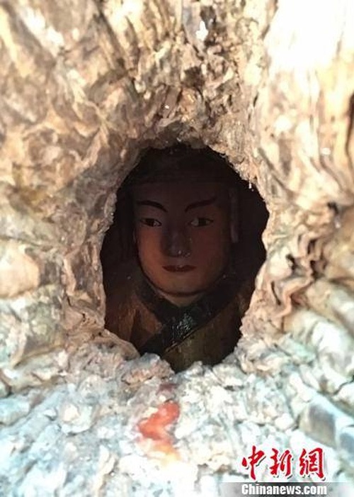 Kỳ lạ bức tượng Phật nằm trong hốc cây long não hơn 1.000 năm tuổi - 2