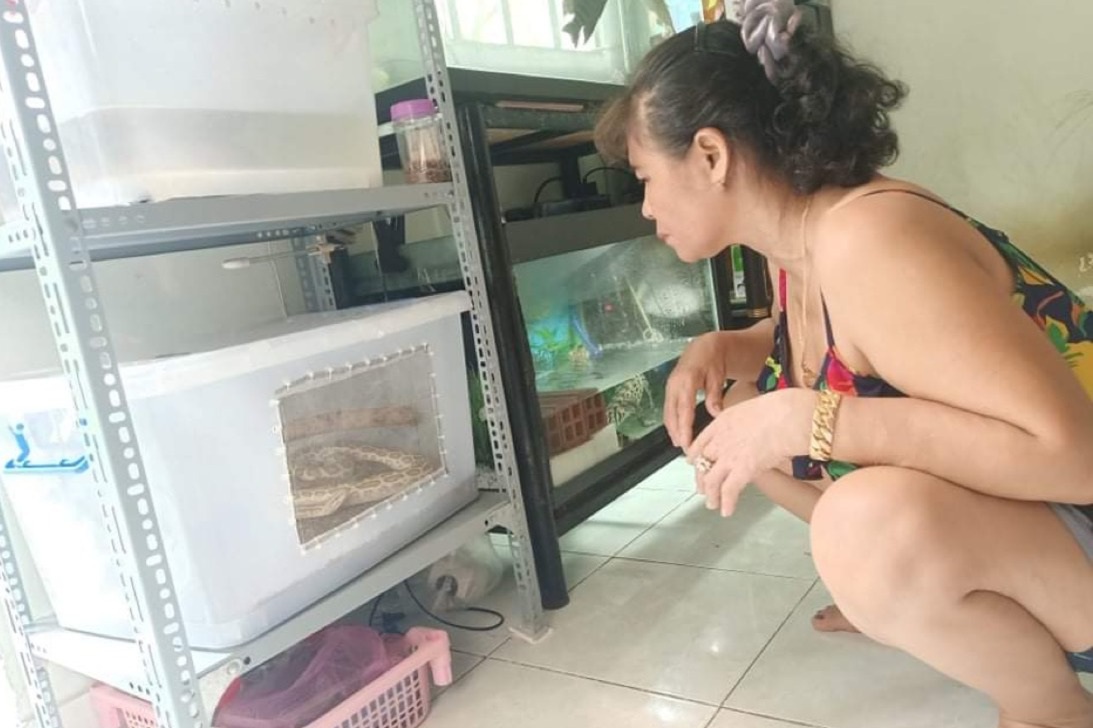 Nỗi lòng của người mẹ khi con trai yêu sâu đậm các loài bò sát - 8