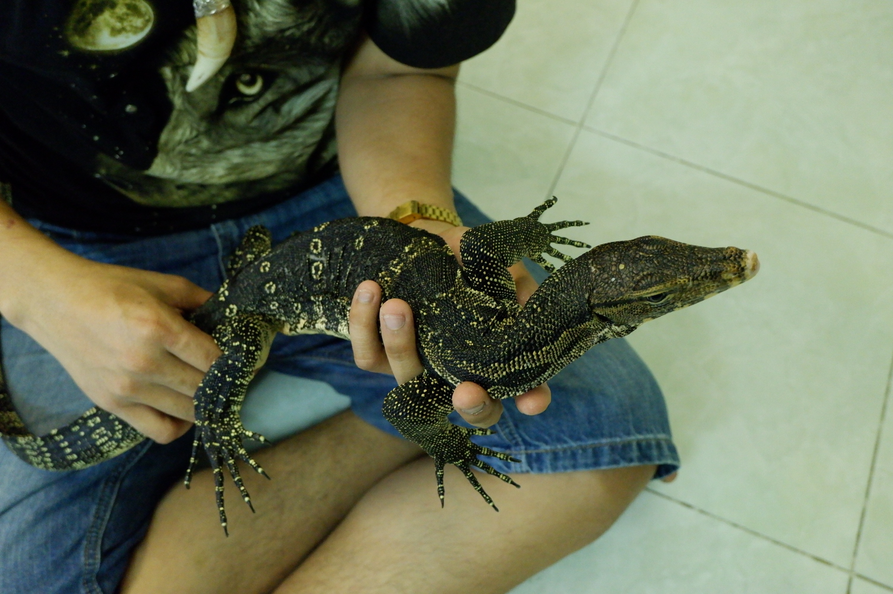 Nỗi lòng của người mẹ khi con trai yêu sâu đậm các loài bò sát - 5