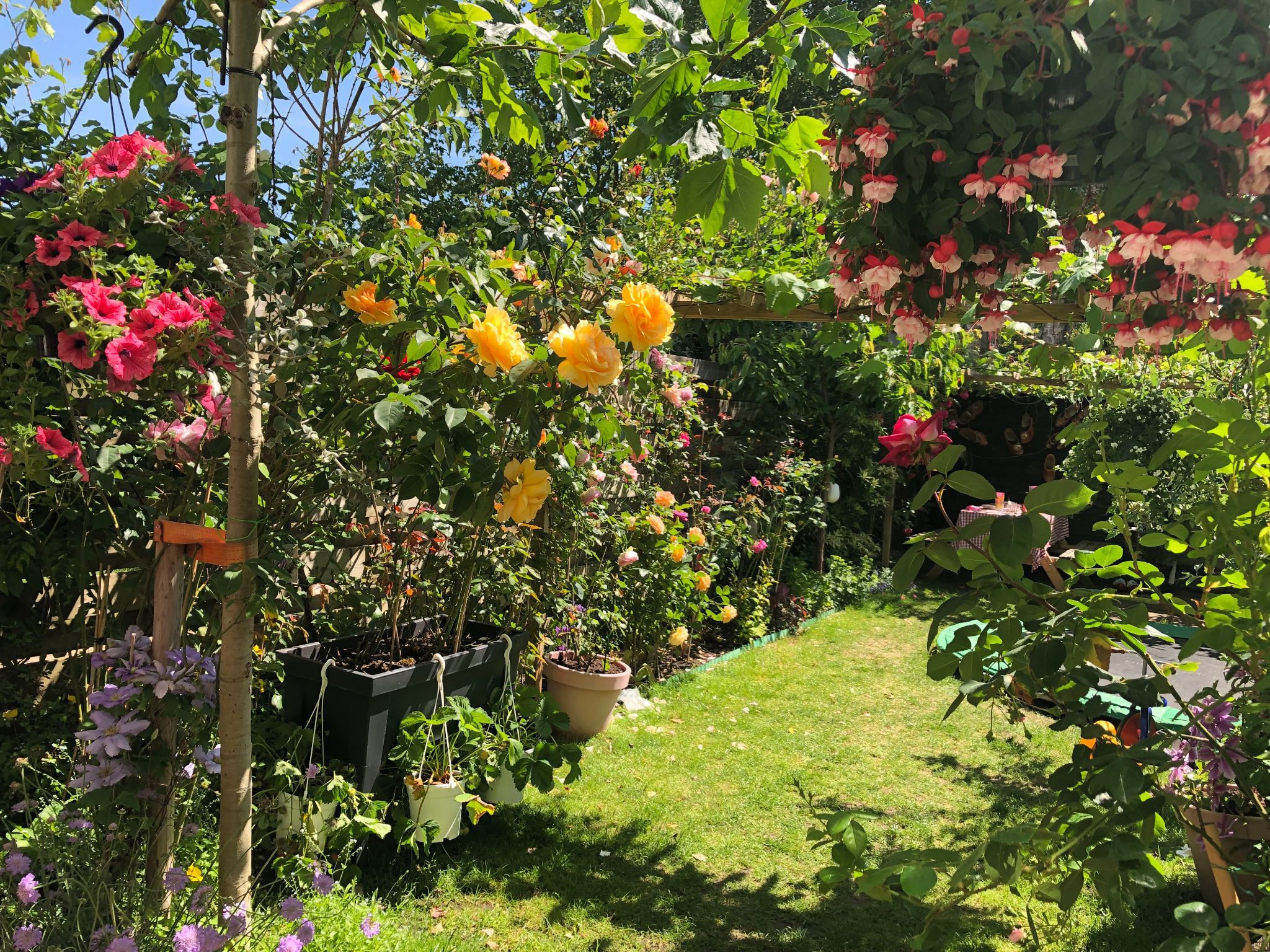 Sửng sốt khu vườn 100m2 tràn ngập hoa trái của mẹ Việt ở Hà Lan - 2