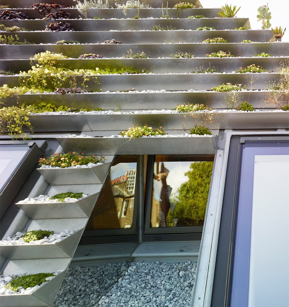 Vườn lạ như kim tự tháp có 800 cây trên mái nhà giữa phố thị đông đúc - 5