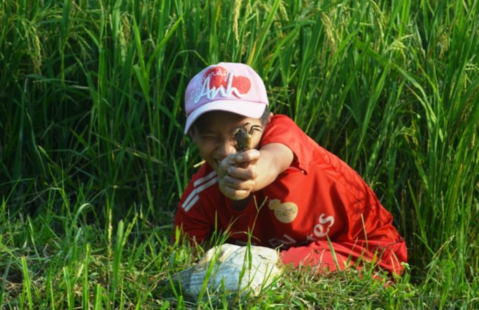 Vất vả nghề lội bùn bắt con... bò ngang - 6