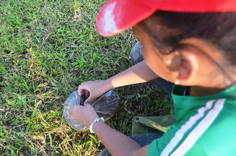 Vất vả nghề lội bùn bắt con... bò ngang - 5