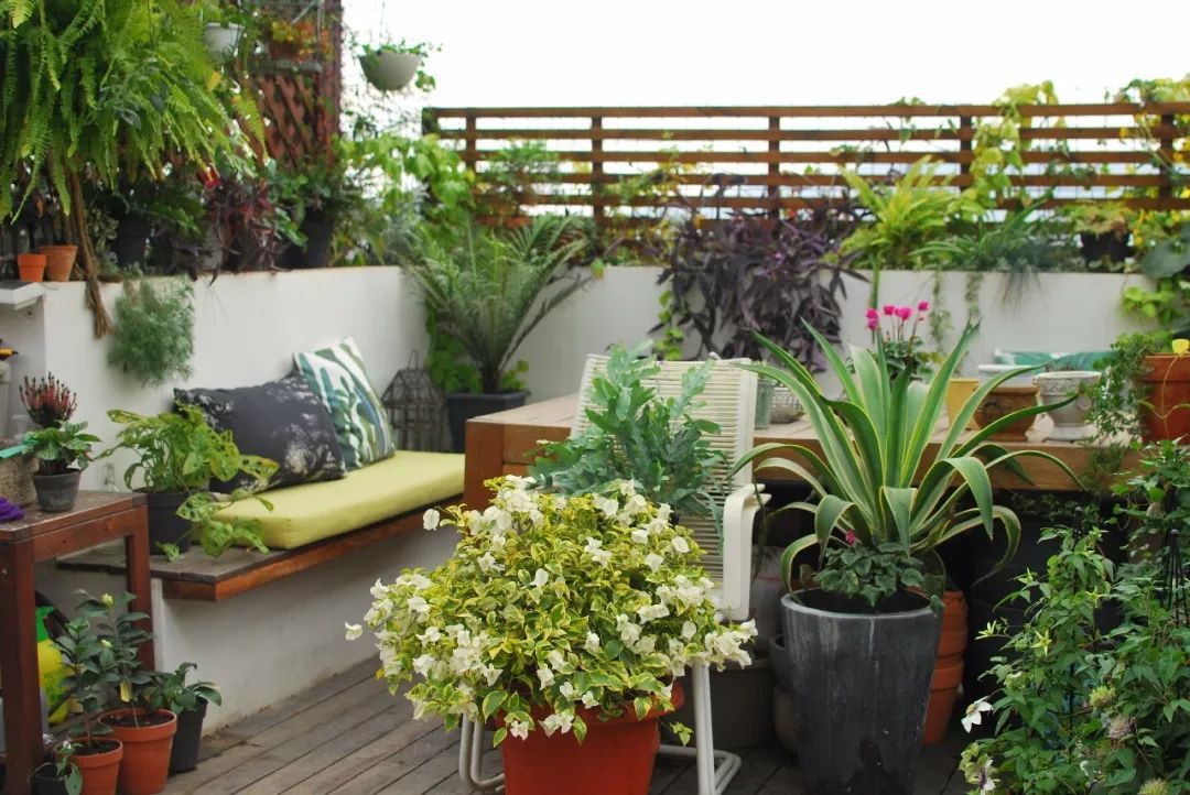 Mẹ cùng con gái biến sân thượng thành thiên đường trăm loài hoa - 2