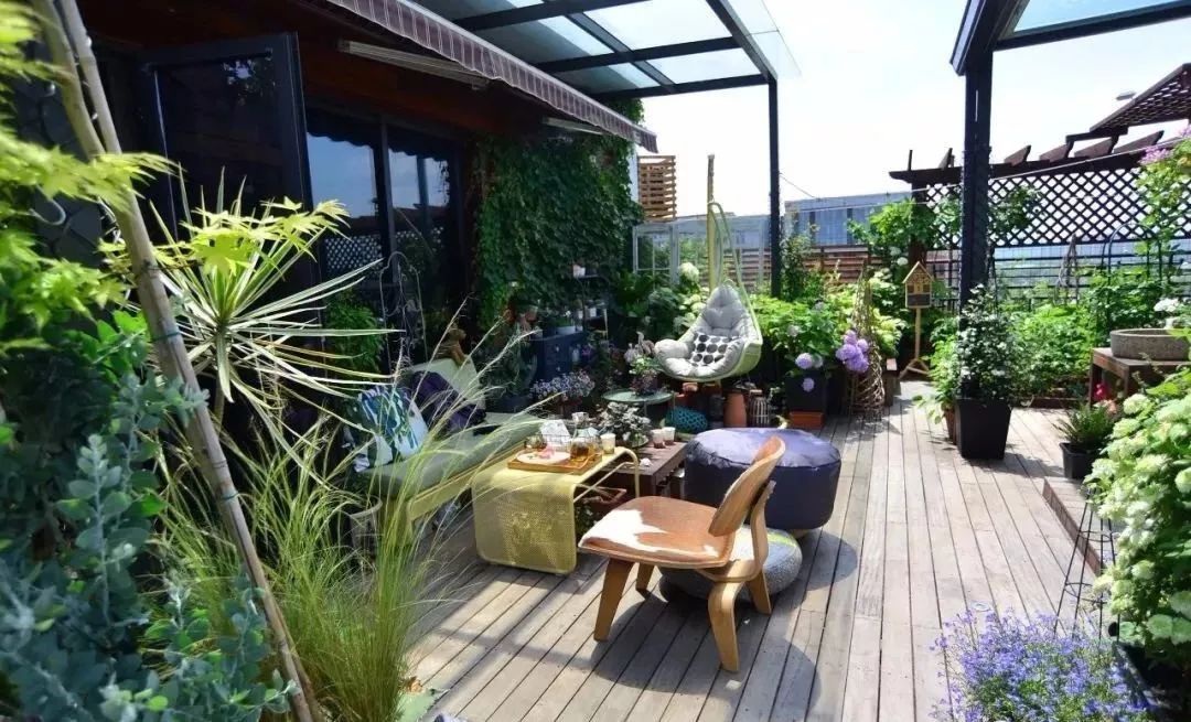 Mẹ cùng con gái biến sân thượng thành thiên đường trăm loài hoa - 3