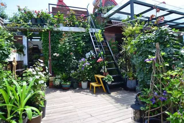 Mẹ cùng con gái biến sân thượng thành thiên đường trăm loài hoa - 4