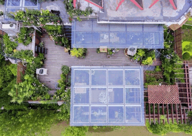 Mẹ cùng con gái biến sân thượng thành thiên đường trăm loài hoa - 6