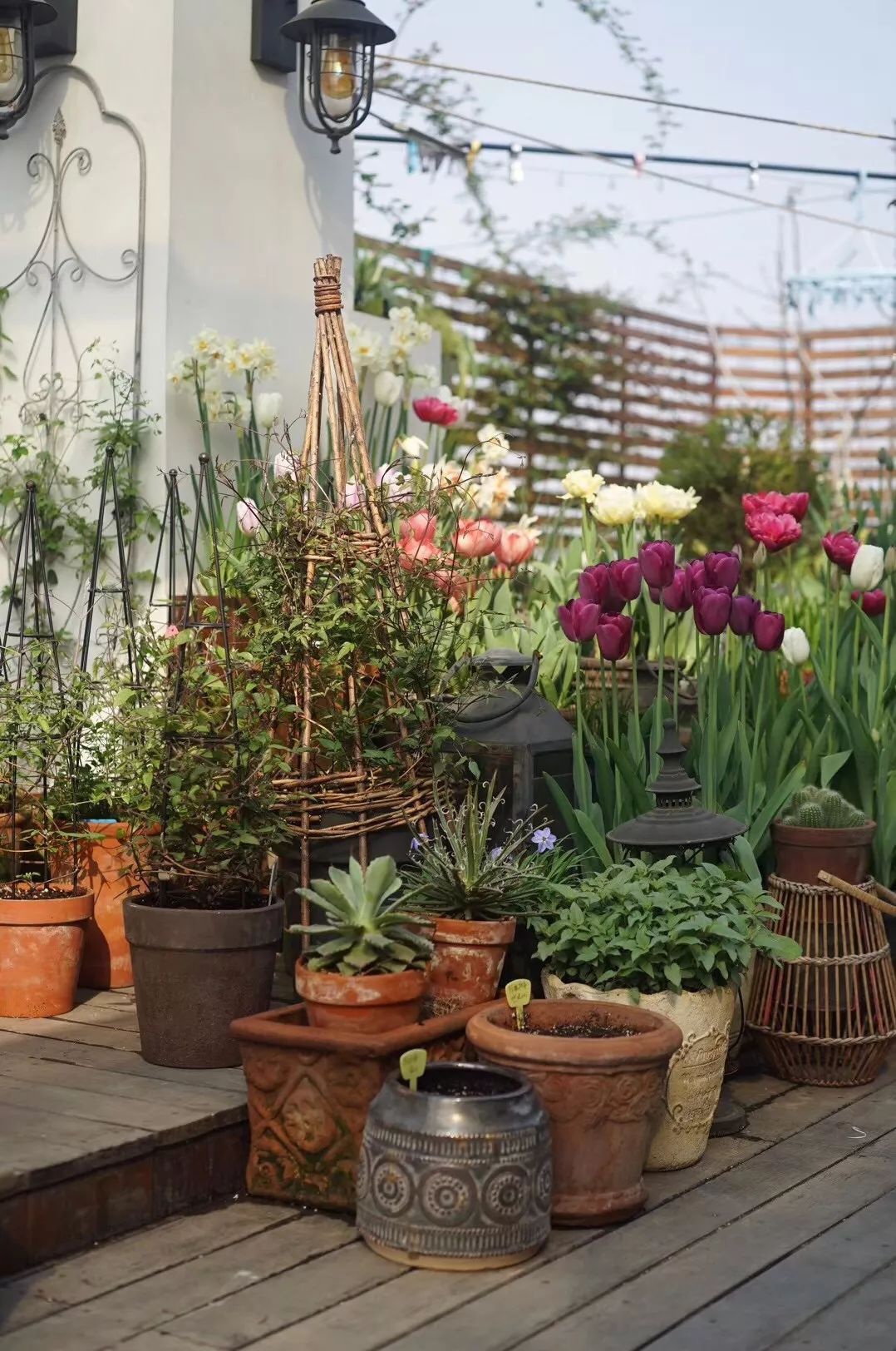 Mẹ cùng con gái biến sân thượng thành thiên đường trăm loài hoa - 7