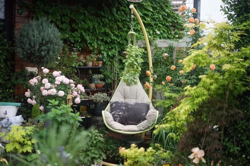 Mẹ cùng con gái biến sân thượng thành thiên đường trăm loài hoa - 8