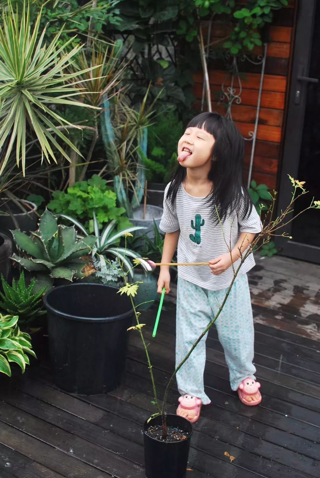 Mẹ cùng con gái biến sân thượng thành thiên đường trăm loài hoa - 10