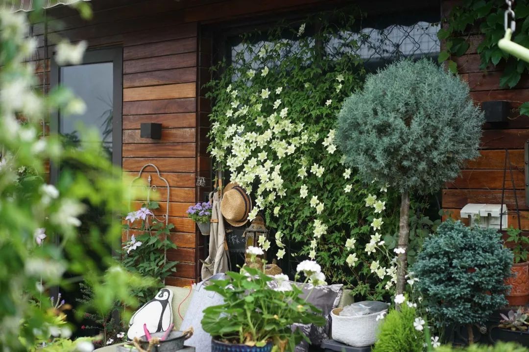 Mẹ cùng con gái biến sân thượng thành thiên đường trăm loài hoa - 12