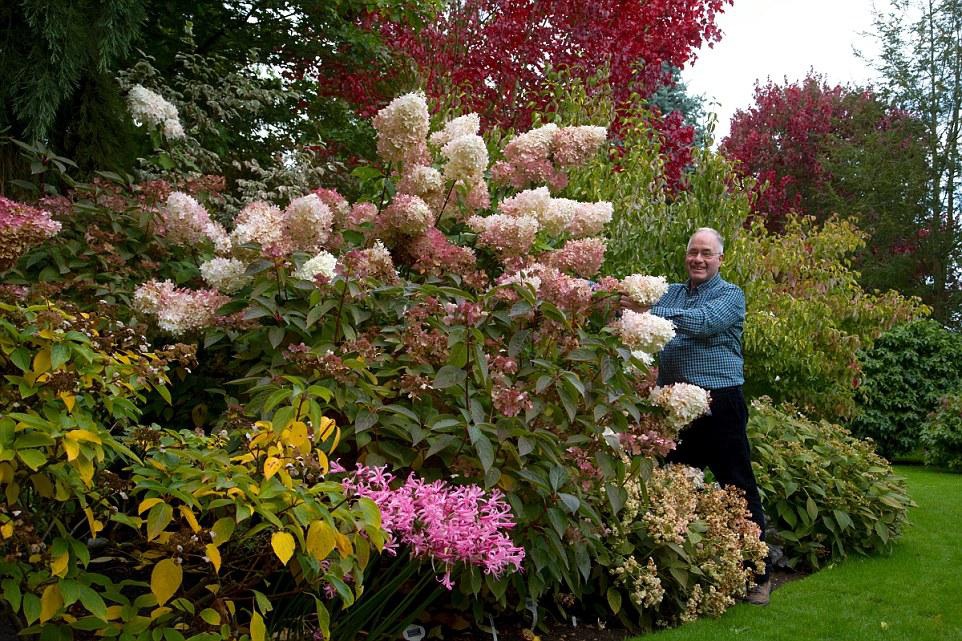 Người đàn ông dành 25 năm biến bãi đất hoang thành thiên đường hoa - 1