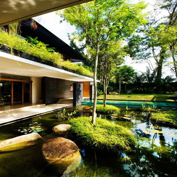 Ngôi nhà đẹp như resort nhờ vườn trên mái, hồ nước ngập cây - 3