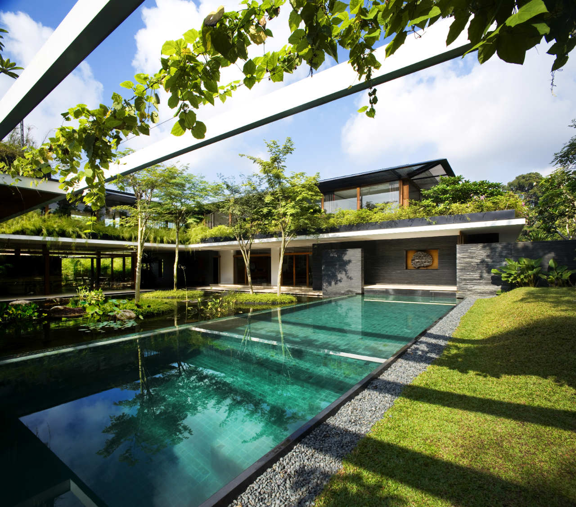 Ngôi nhà đẹp như resort nhờ vườn trên mái, hồ nước ngập cây - 5