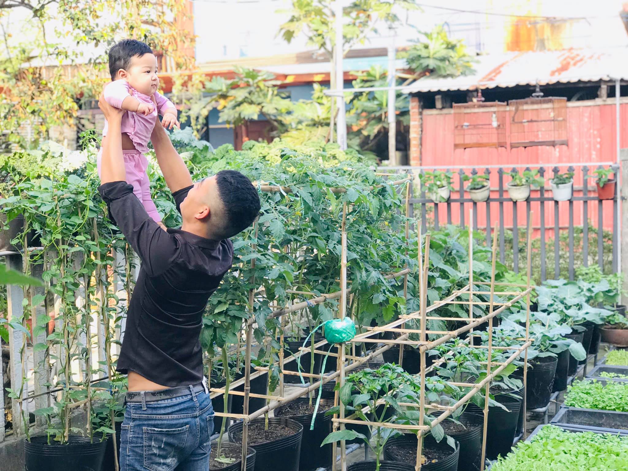 Vườn 60m2 đủ loại rau trái, vợ chồng trẻ ở Quảng Nam không phải đi chợ - 5