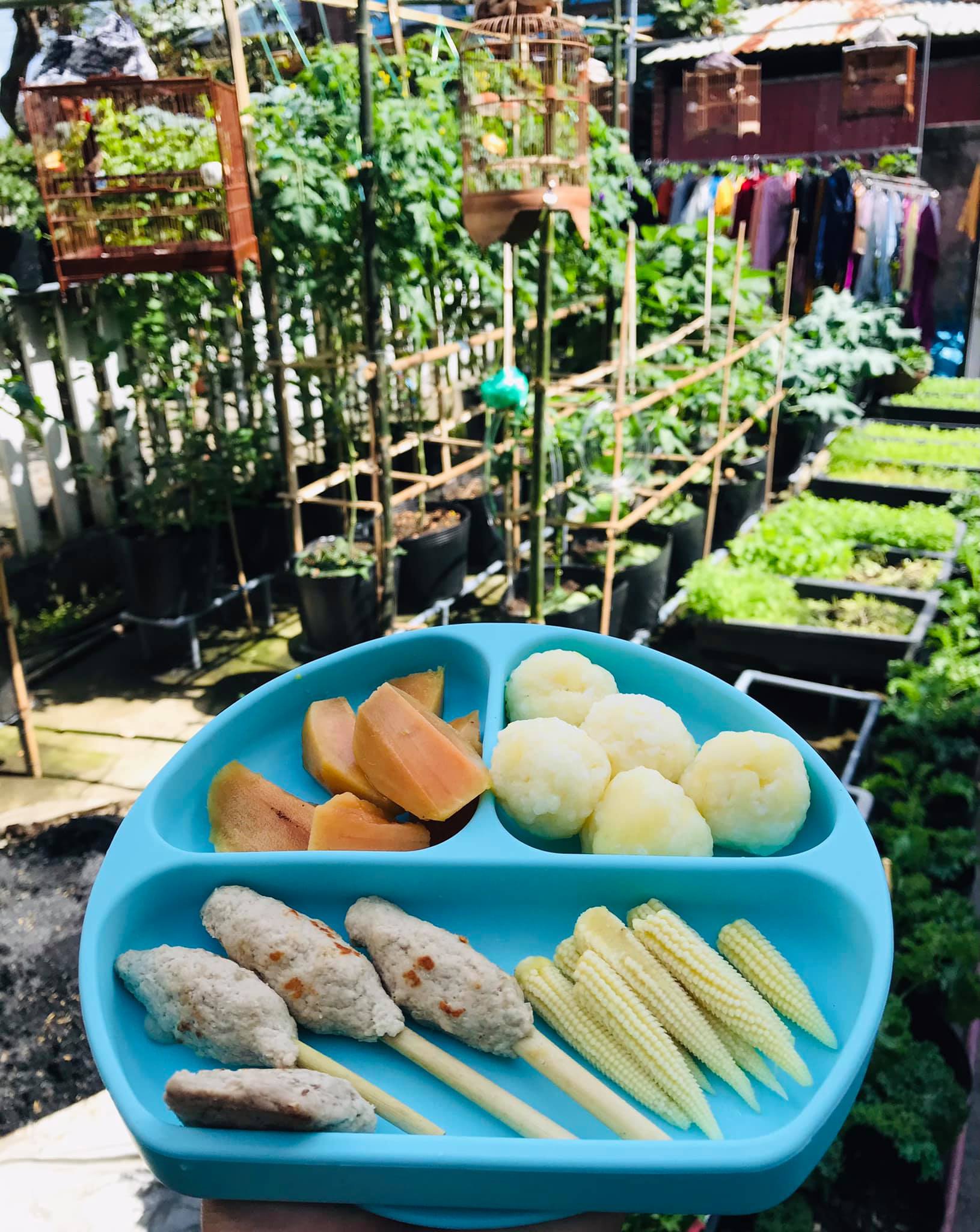 Vườn 60m2 đủ loại rau trái, vợ chồng trẻ ở Quảng Nam không phải đi chợ - 6