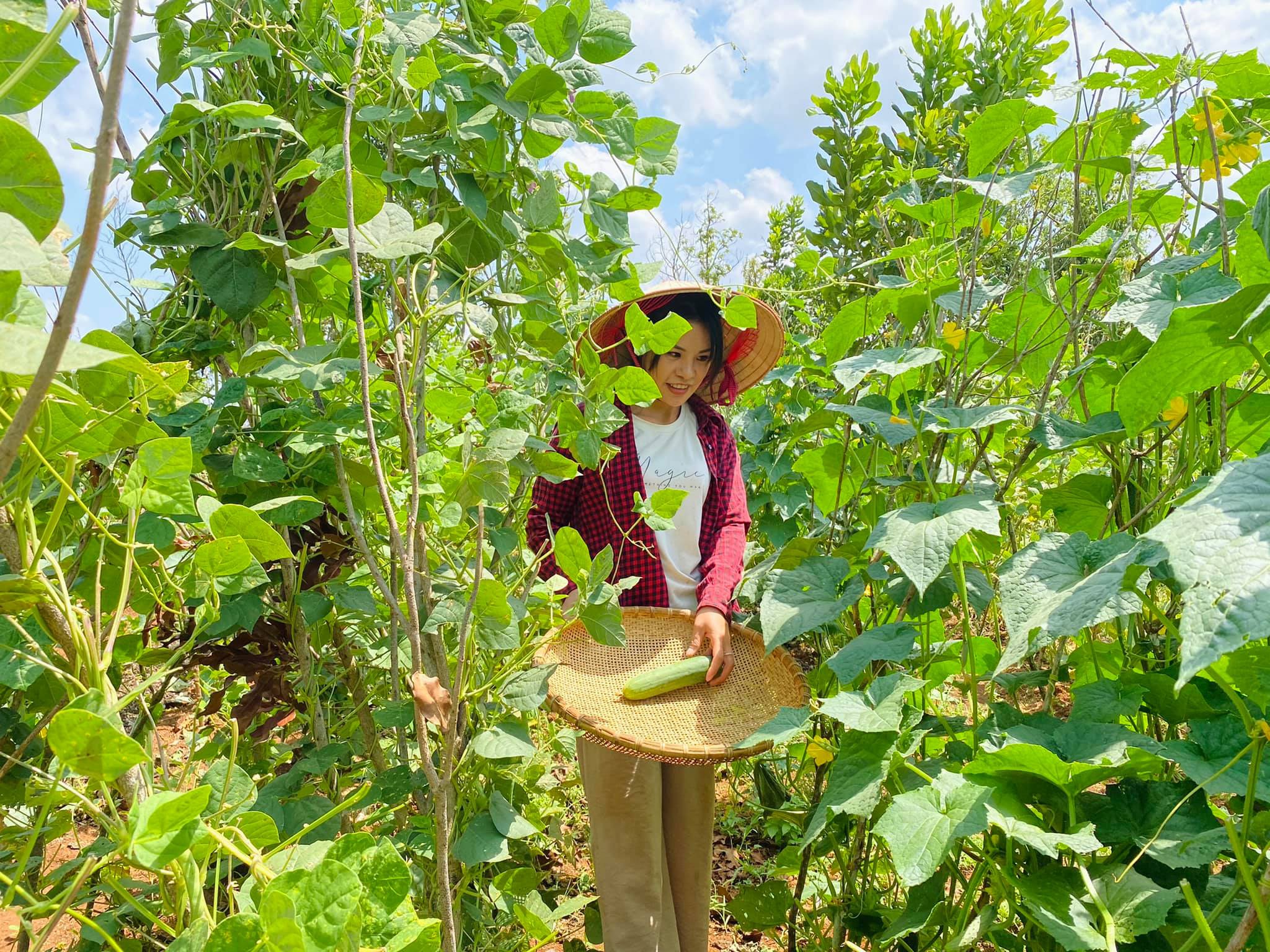 Cô gái bỏ nhà phố, xe sang ở Sài Gòn về quê cuốc đất làm nông dân - 3