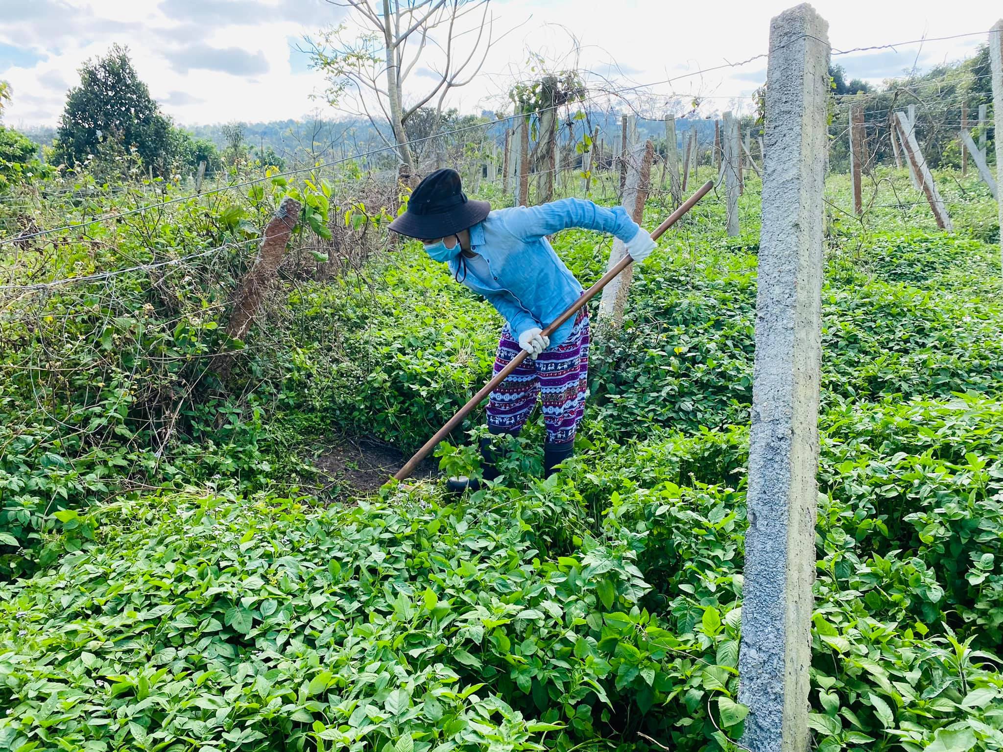 Cô gái bỏ nhà phố, xe sang ở Sài Gòn về quê cuốc đất làm nông dân - 11