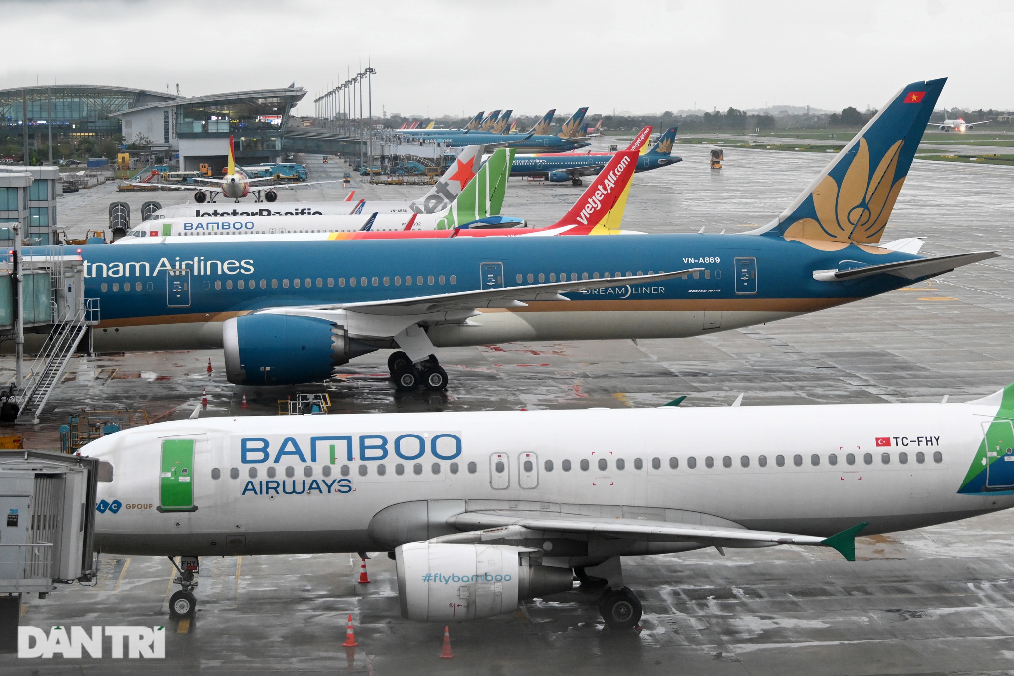 Sốc vì Covid: 79.000 hành khách tháo chạy, sân bay không một bóng người! - 3