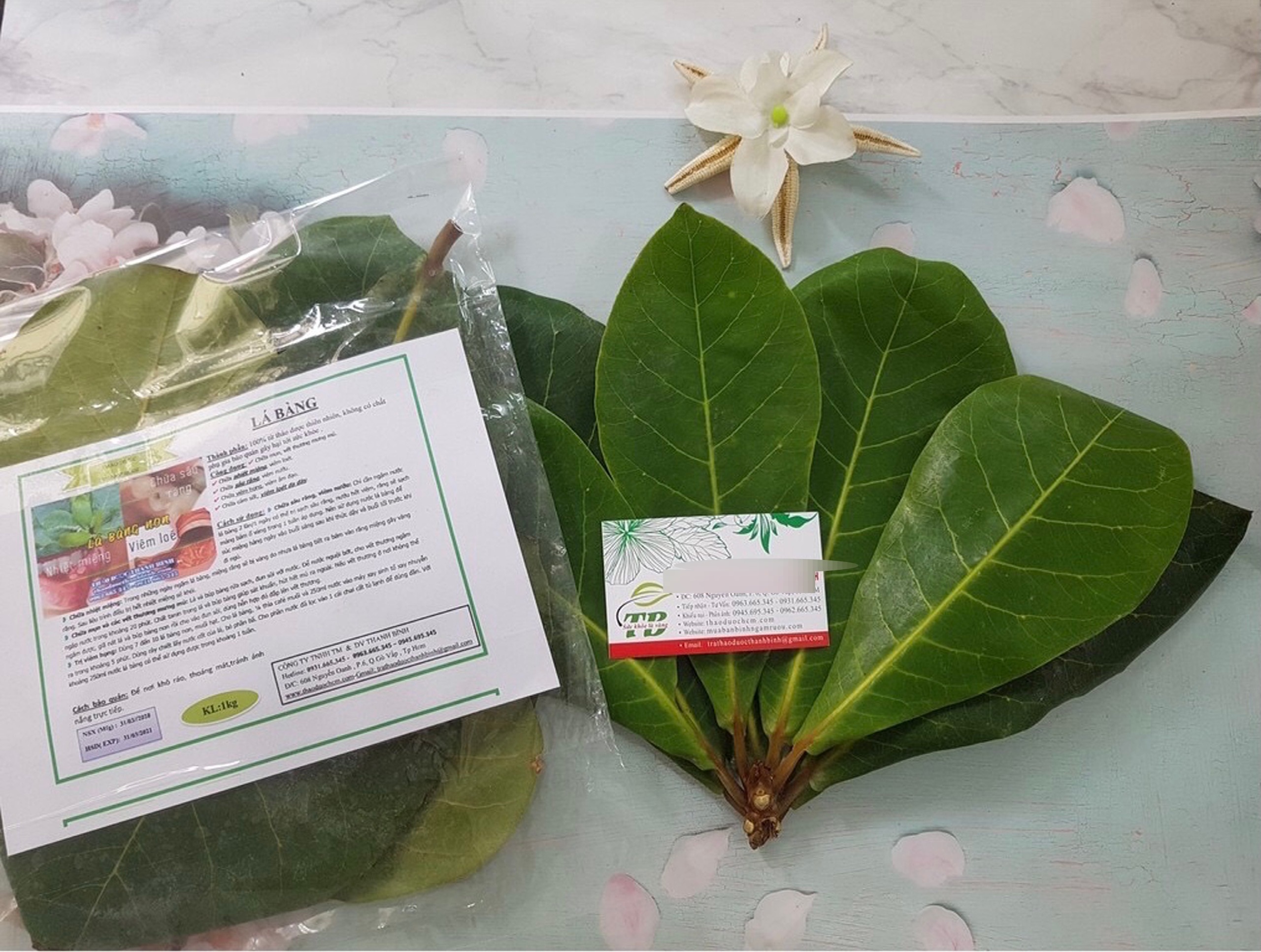 Hết lá khô 1.000 đồng, đến lượt lá bàng tươi được hét giá 100.000 đồng/kg - 2
