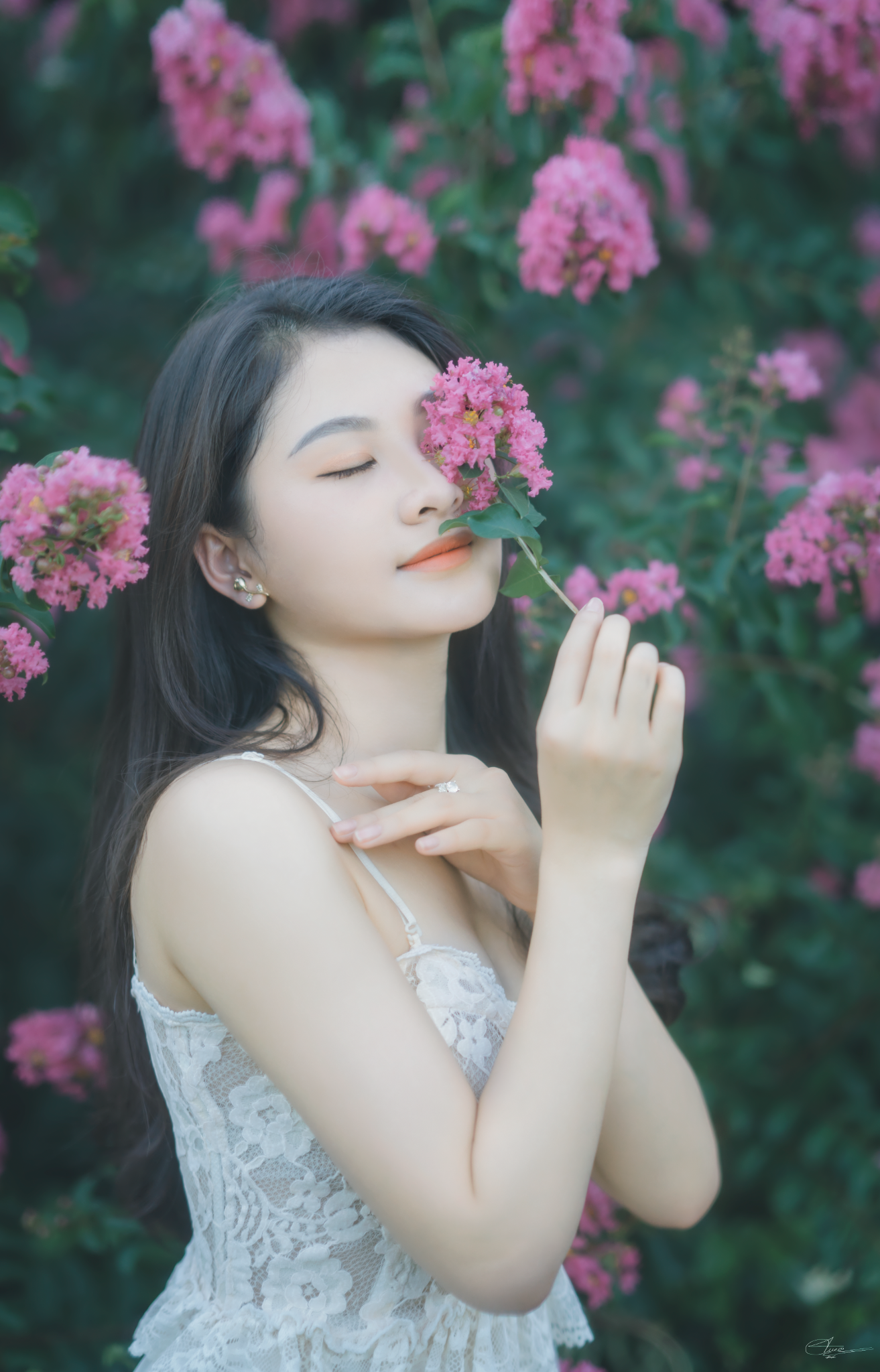 Thiếu nữ tuổi xuân thì đọ dáng bên sắc hoa tường vi - 2