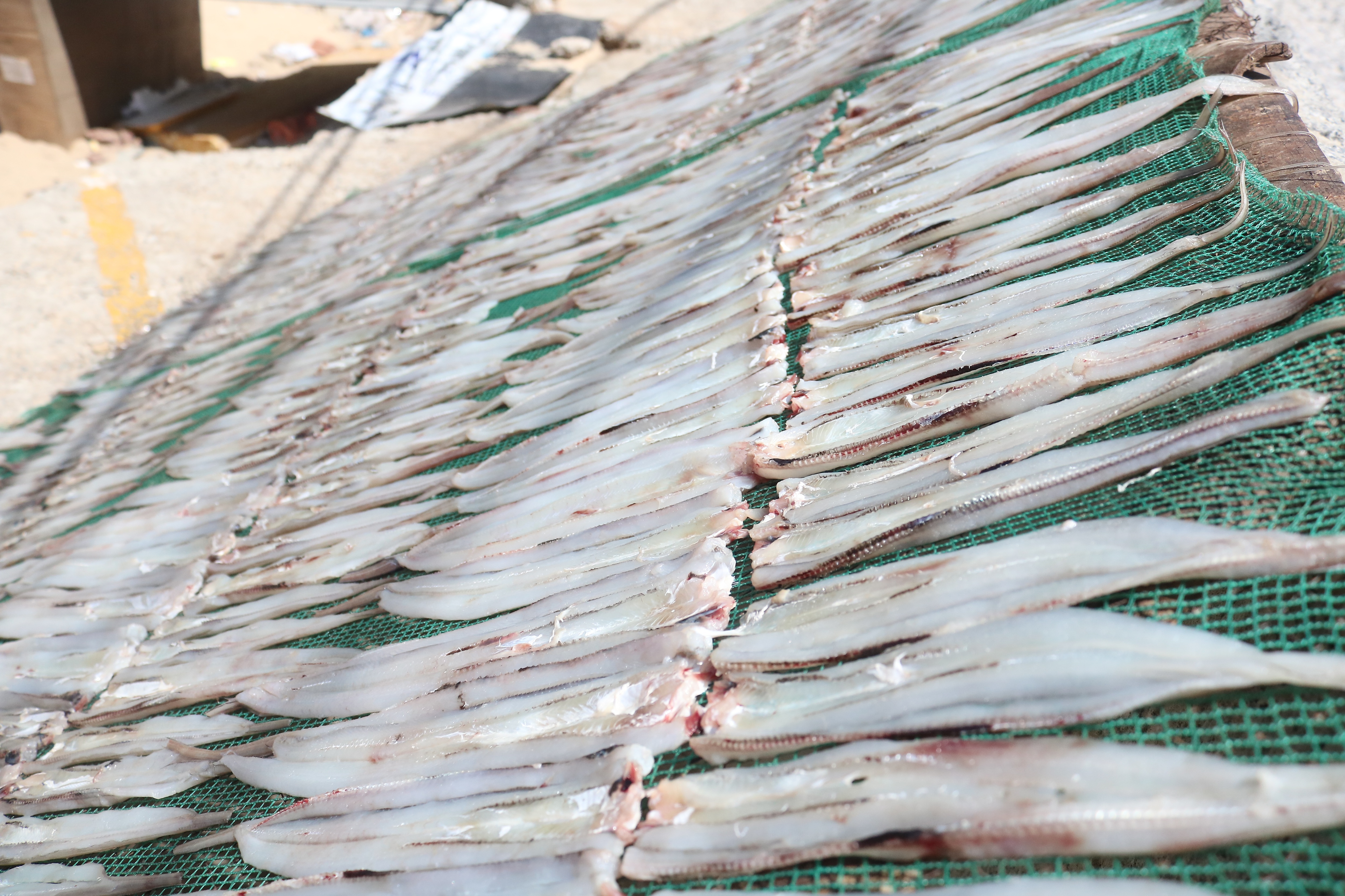 Làm giàu từ hải sản khô, người phụ nữ làng biển thu lãi 2 tỷ đồng mỗi năm - 2