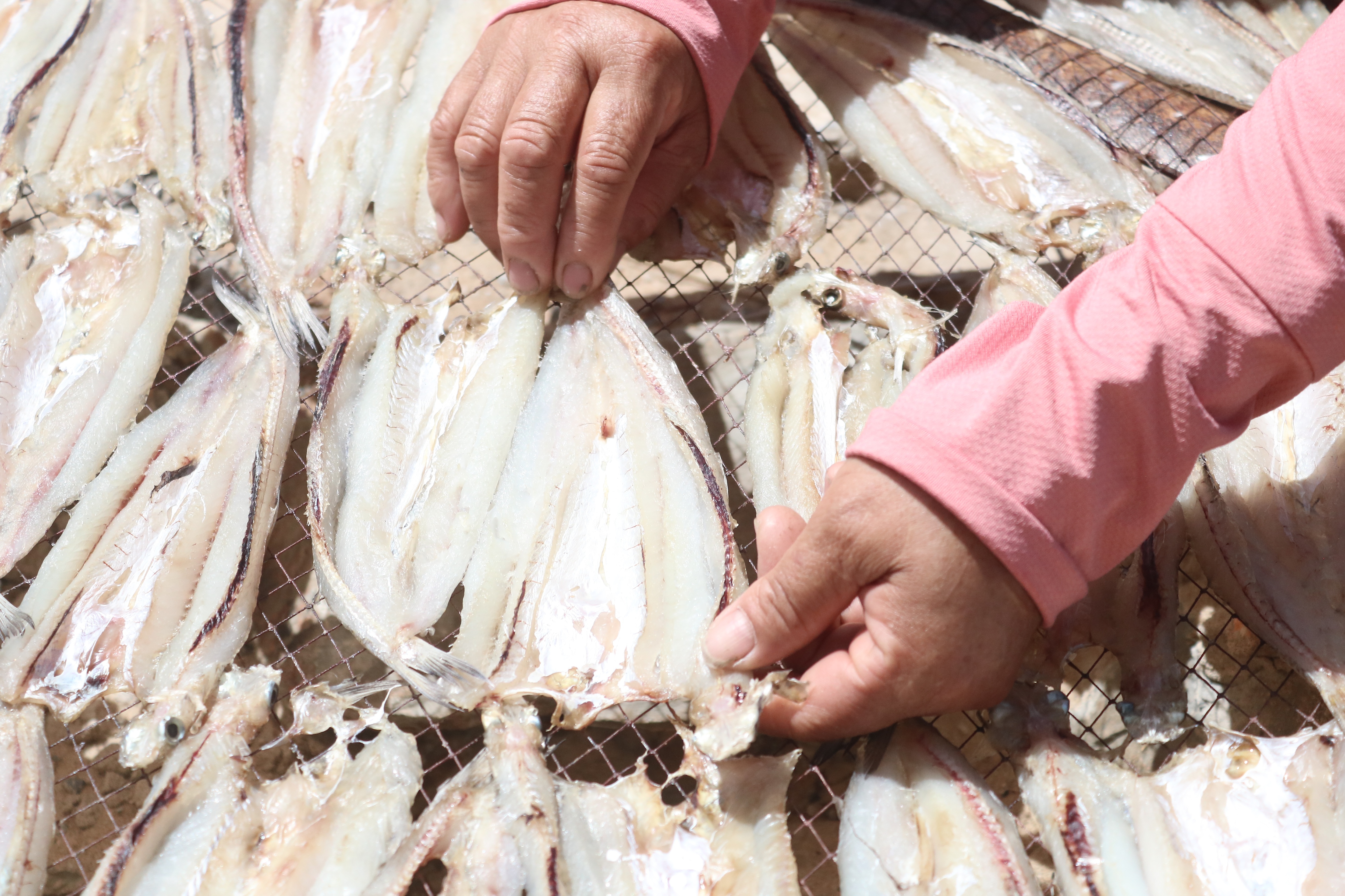 Làm giàu từ hải sản khô, người phụ nữ làng biển thu lãi 2 tỷ đồng mỗi năm - 3