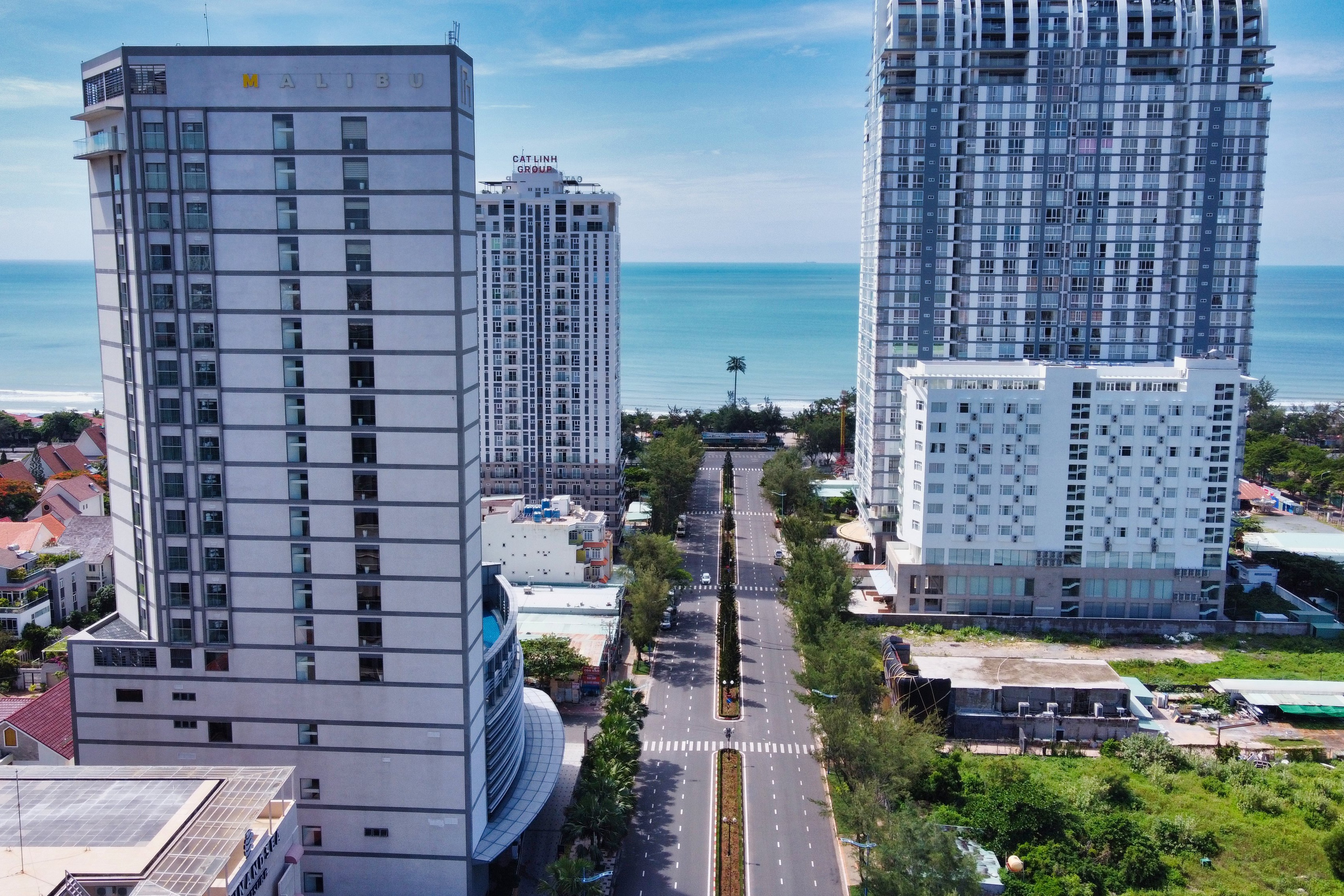 Khỉ tràn xuống phố tìm thức ăn khi TP Vũng Tàu giãn cách xã hội - 6