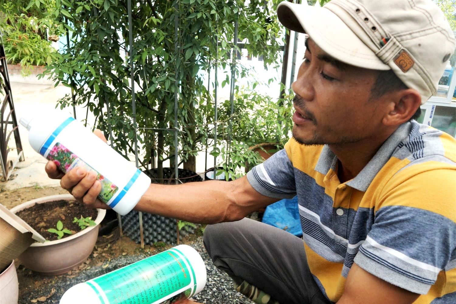 Đưa giống hồng ngoại về miền cát bỏng, anh nông dân trẻ thu lãi cao - 4