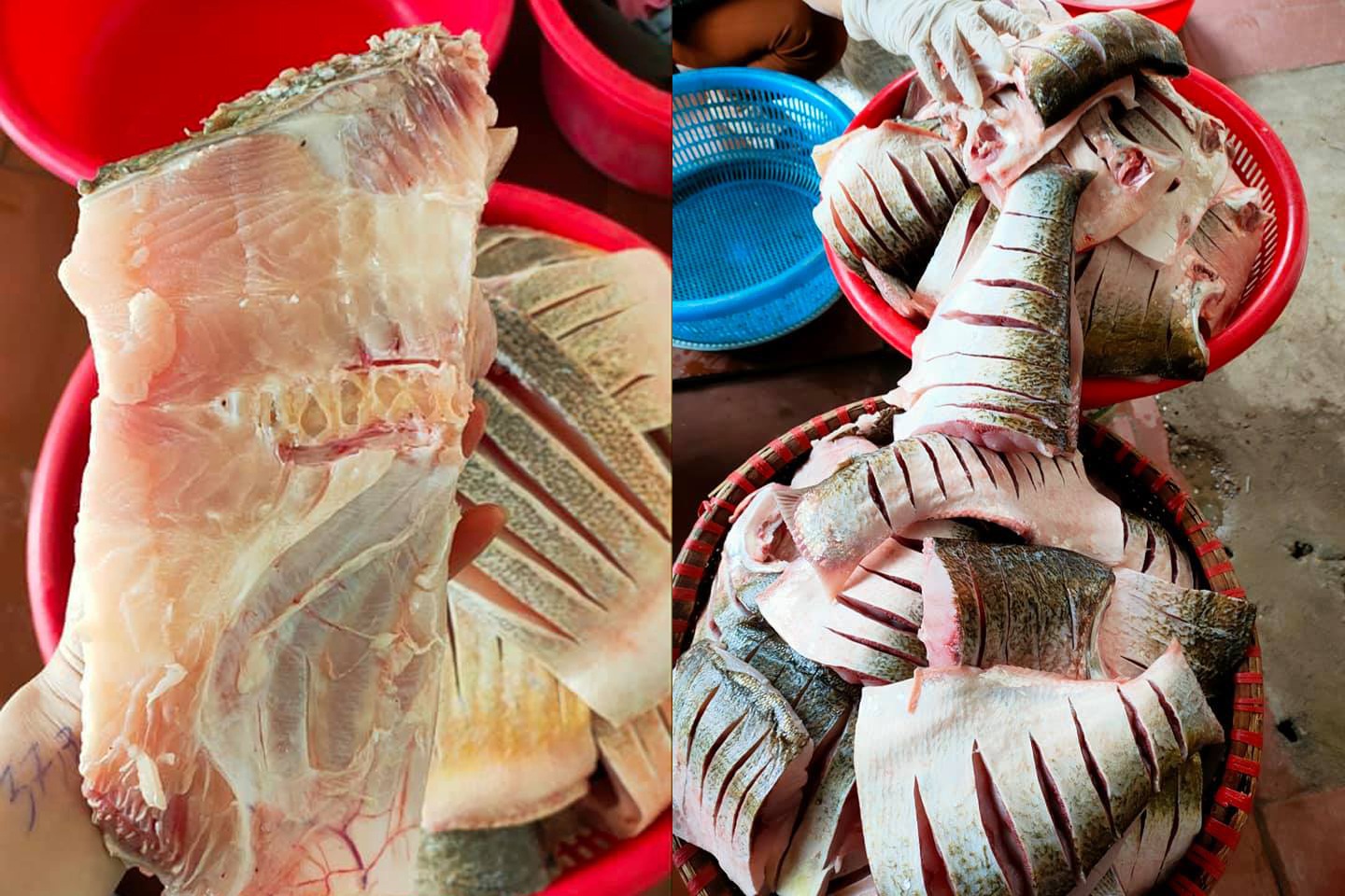 Kỳ công món đặc sản cá muối chua bằng thính gạo ở Vĩnh Phúc - 2