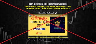 Không tham gia đầu tư vào các website Wefinex.net, RaidenBo.com - 1