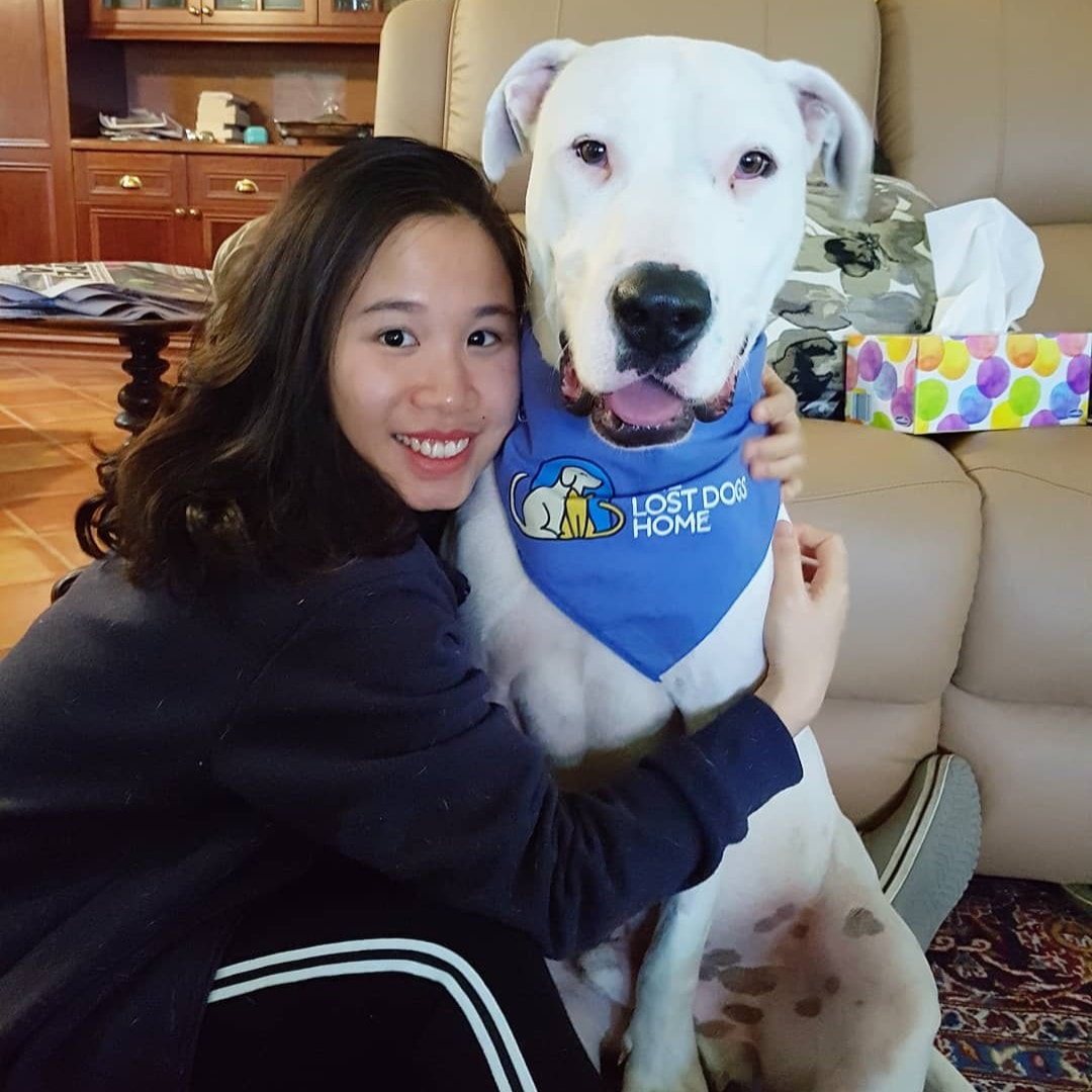 Gia đình cô dâu Việt giải cứu dê cơ nhỡ, ngựa về hưu ở trời Tây - 4