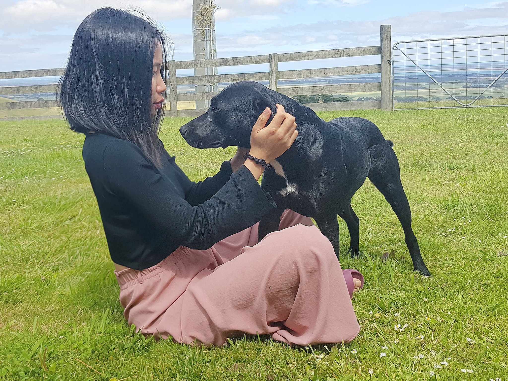 Gia đình cô dâu Việt giải cứu dê cơ nhỡ, ngựa về hưu ở trời Tây - 5