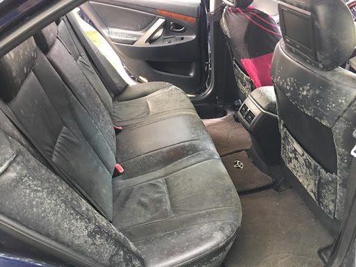 Hình ảnh ghế ô tô mốc trắng vì để lâu ngày khiến nhiều chủ xe giật mình - 1