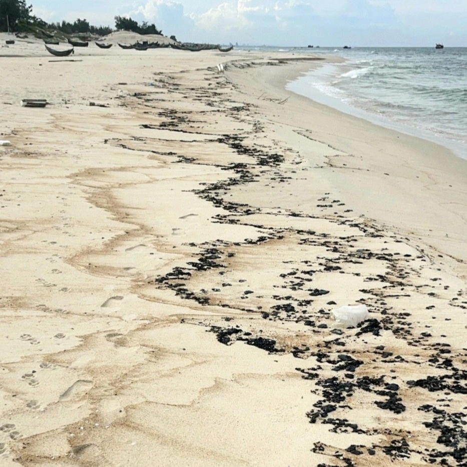Quảng Bình huy động lực lượng quân đội thu gom vết dầu loang dọc bờ biển - 2