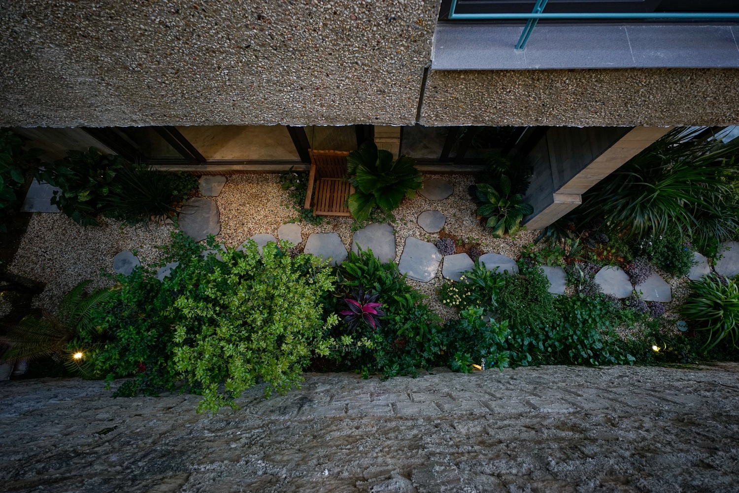 Ngôi nhà Đà Lạt nằm trên sườn dốc với đầy cây lá bên trong - 7