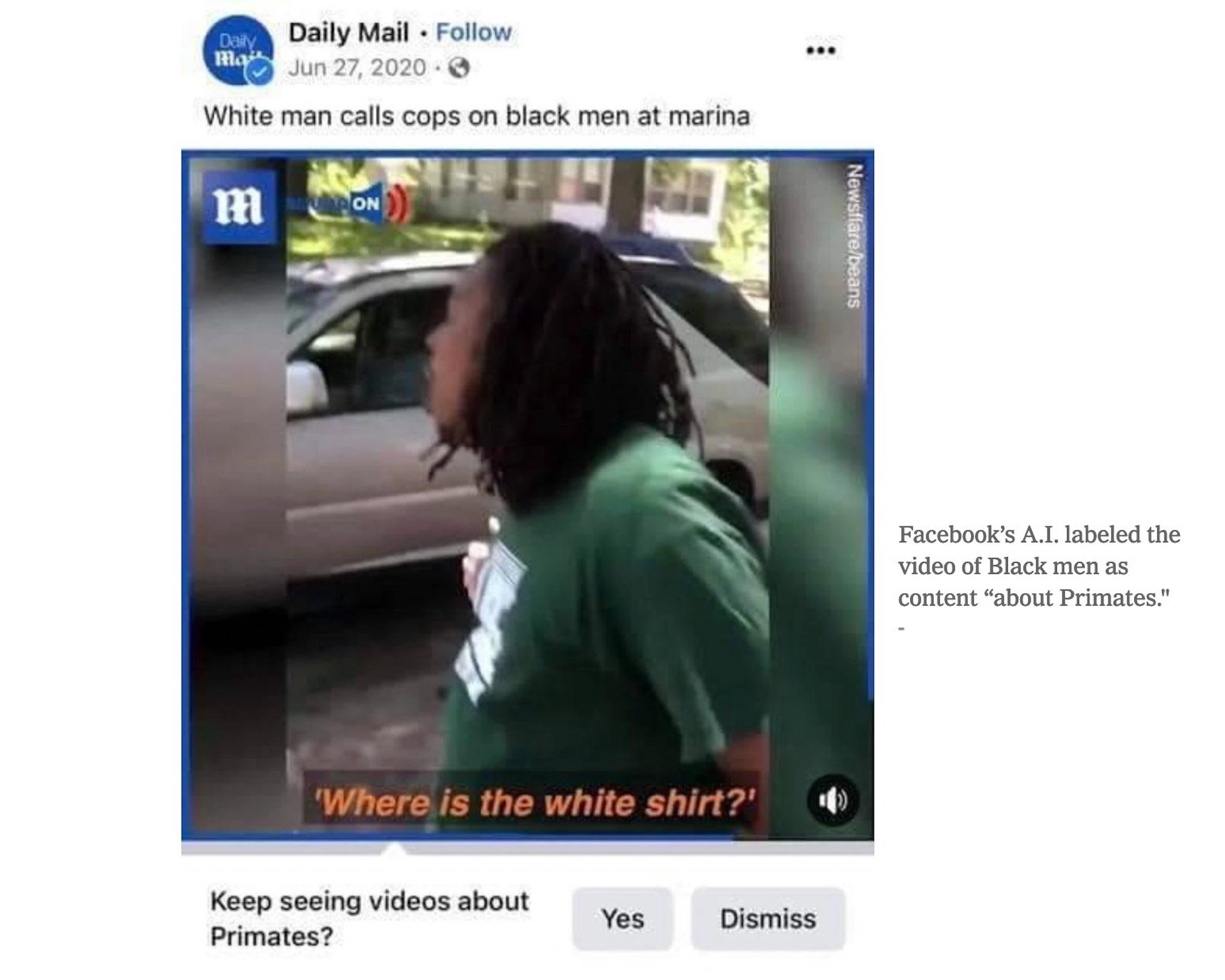 Facebook nói gì khi AI nhận nhầm người da màu là "động vật linh trưởng"?