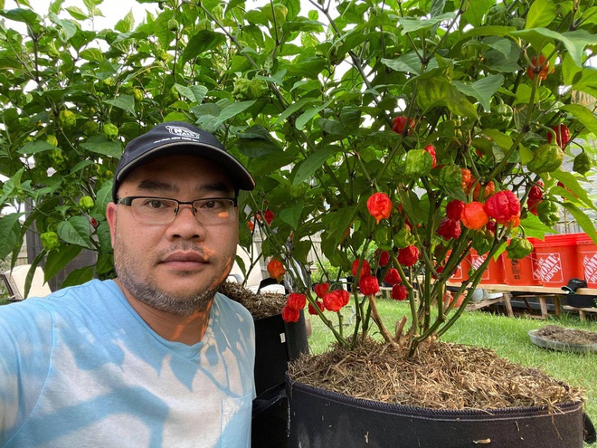 Trào lưu làm vườn, trồng cây gia vị hiếm có khó tìm của các ông bố Việt - 11