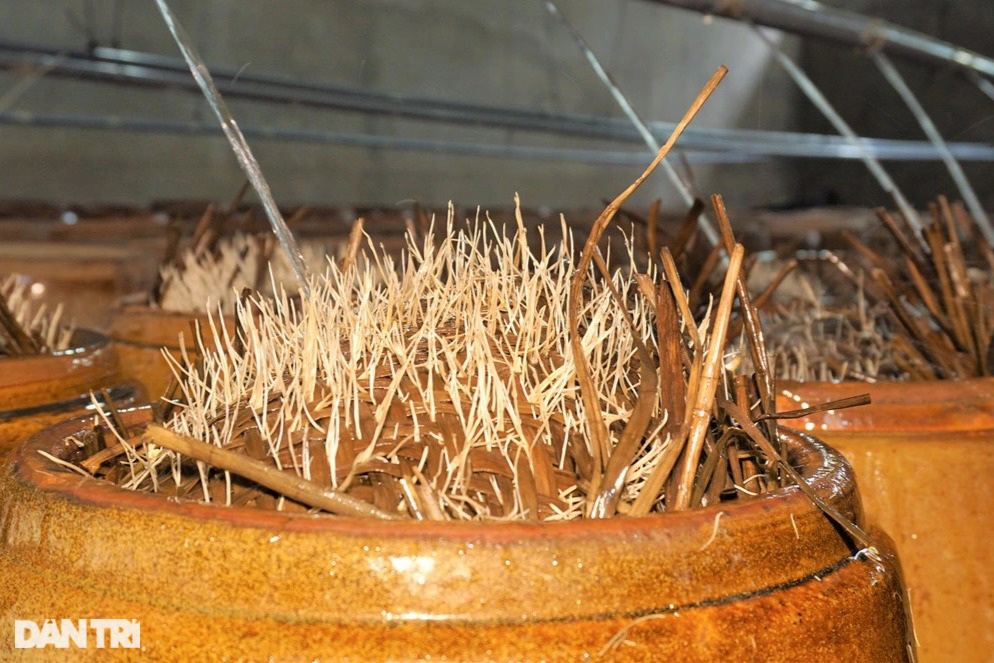 Cho giá đậu nằm bồn, ngủ máy lạnh nữ nông dân kiếm 300 triệu đồng mỗi năm - 4