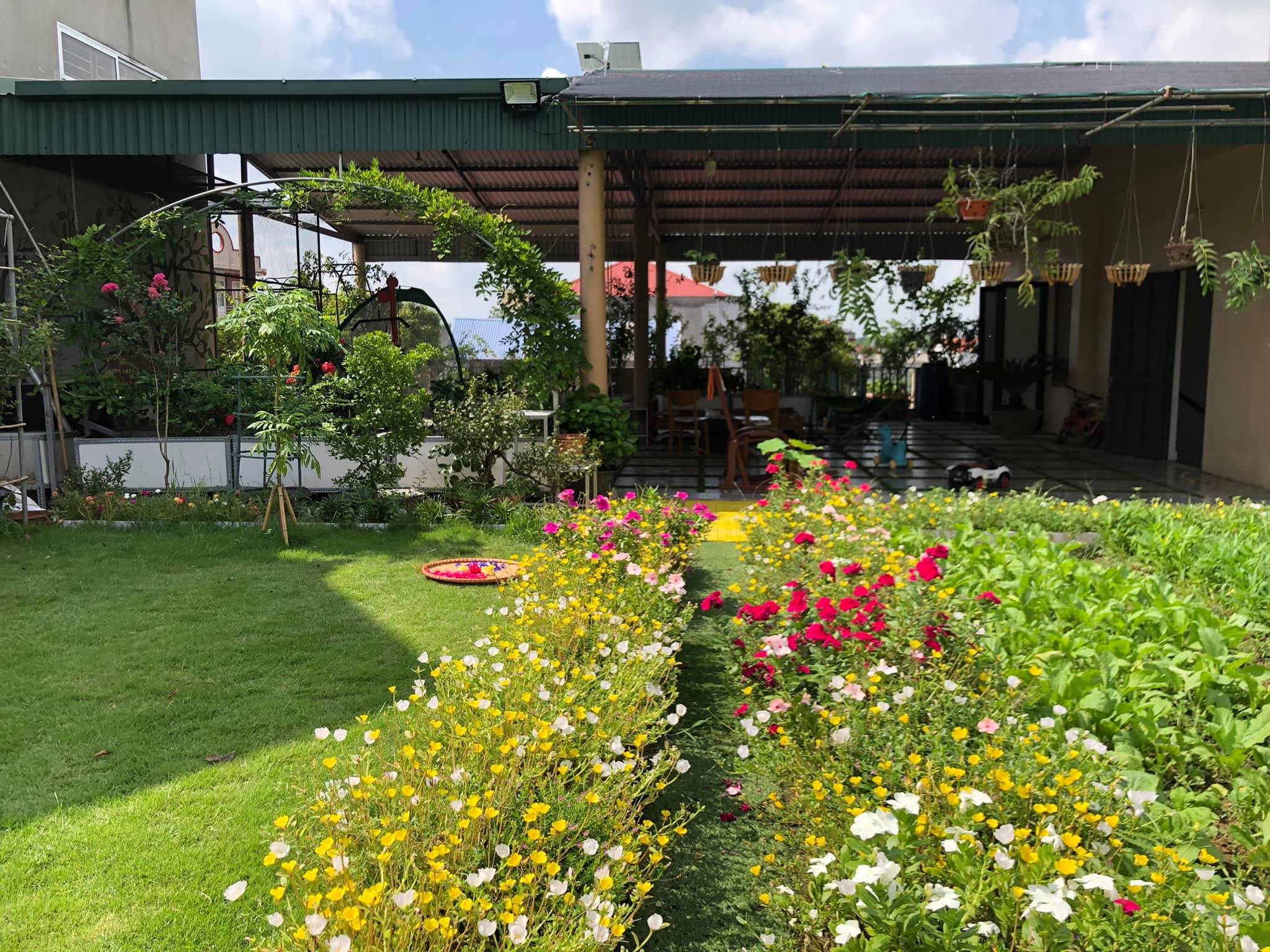 Khu vườn sân thượng siêu to khổng lồ rộng 500 m2 của gia đình Bắc Giang - 7