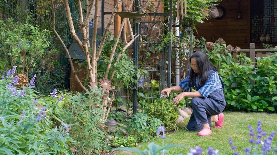 Nghỉ hưu sớm, người phụ nữ về ngoại ô sống an yên bên khu vườn trăm hoa - 11