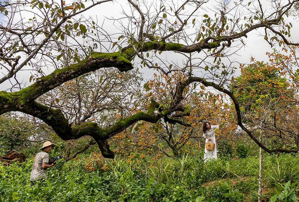 Những người ngắm đời qua khe hẹp, kiếm tiền triệu mỗi ngày - 8