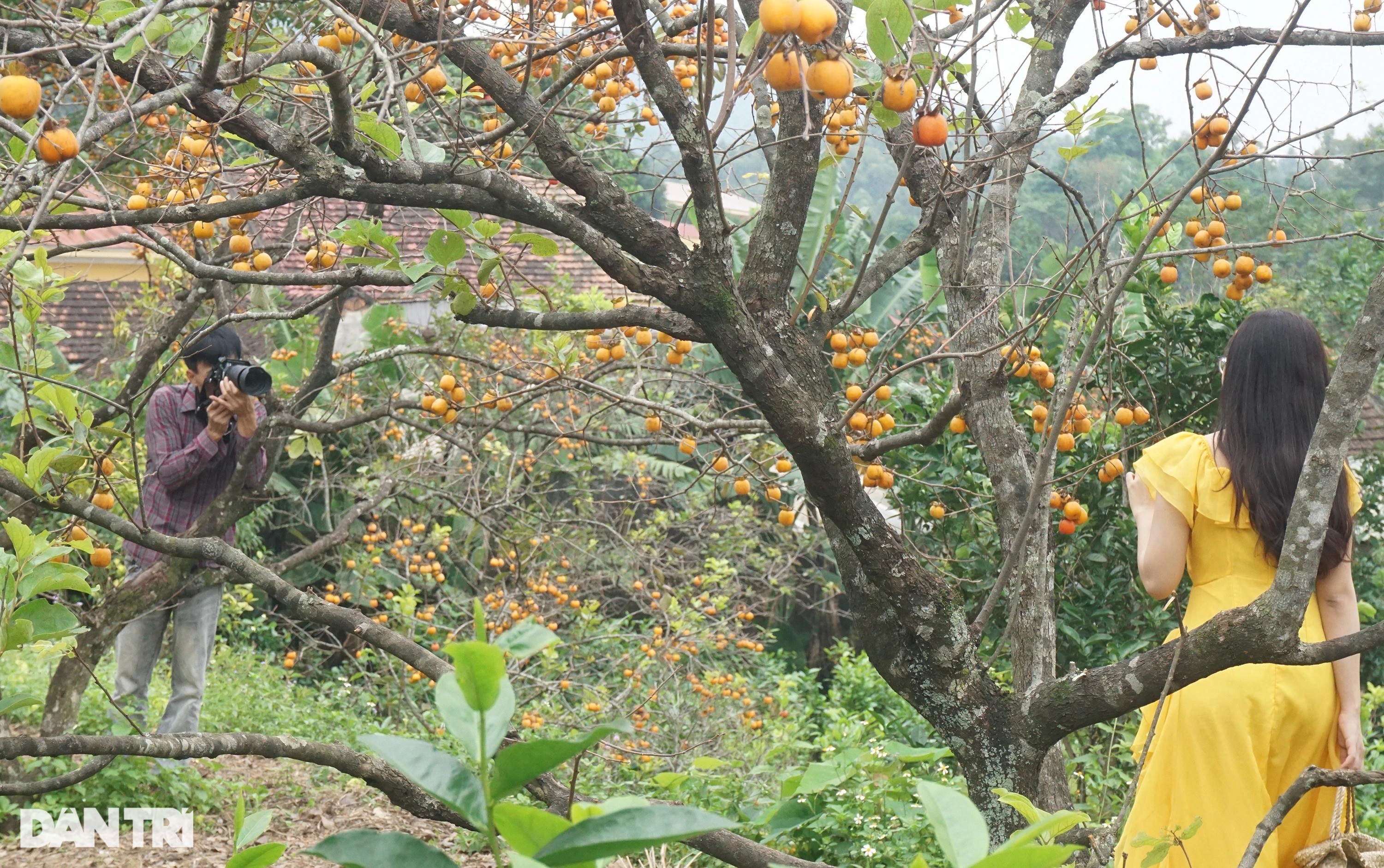 Những người ngắm đời qua khe hẹp, kiếm tiền triệu mỗi ngày - 4